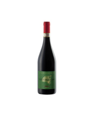 Sforzato di Valtellina "Il Gheppio" D.O.C.G. 2019 Sforzato di Valtellina "Il Gheppio" D.O.C.G. 2019