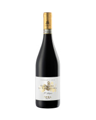 Sforzato di Valtellina "Il Gheppio" D.O.C.G. 2019 Sforzato di Valtellina "Il Gheppio" D.O.C.G. 2019